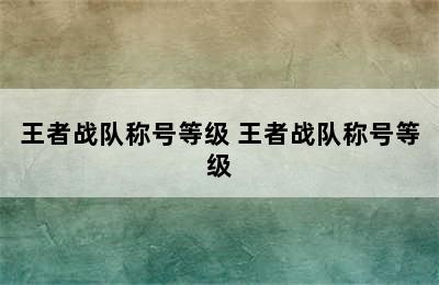 王者战队称号等级 王者战队称号等级